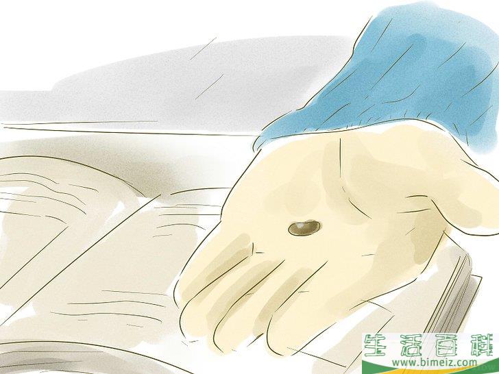 怎么用种子种植植物