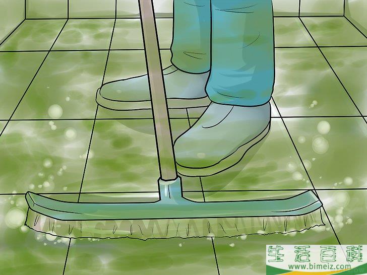 怎么清除和预防游泳池中的绿色藻类