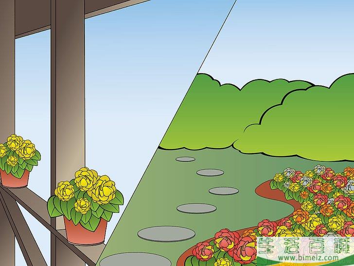 怎么种植秋海棠