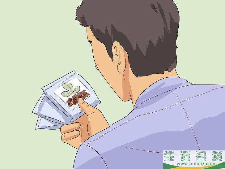 怎么种植合法的大麻