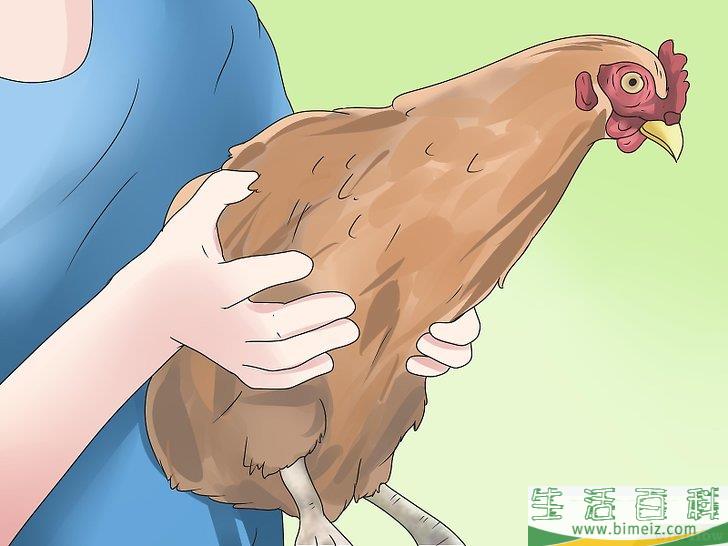 怎么清除蝎子
