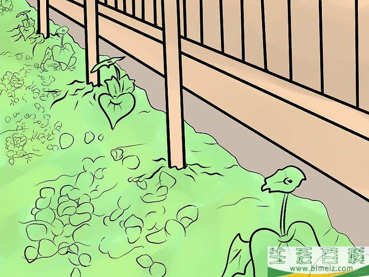 怎么防止猫进入你的花园