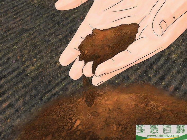 怎么建一个花园
