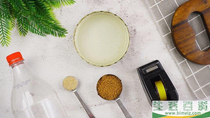 怎么制作塑料瓶捕蚊器