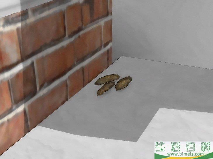 怎么以自然方法驱逐老鼠
