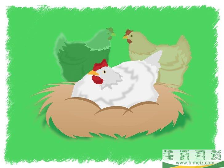 怎么孵化鸡蛋