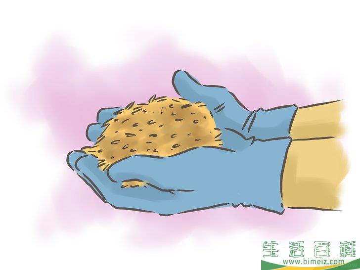 怎么种百香果