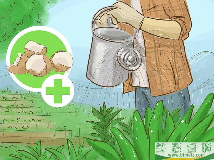 怎么自己种地