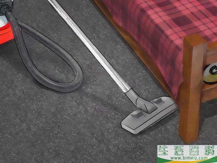 怎么用跳蚤炸弹消灭屋子里的跳蚤