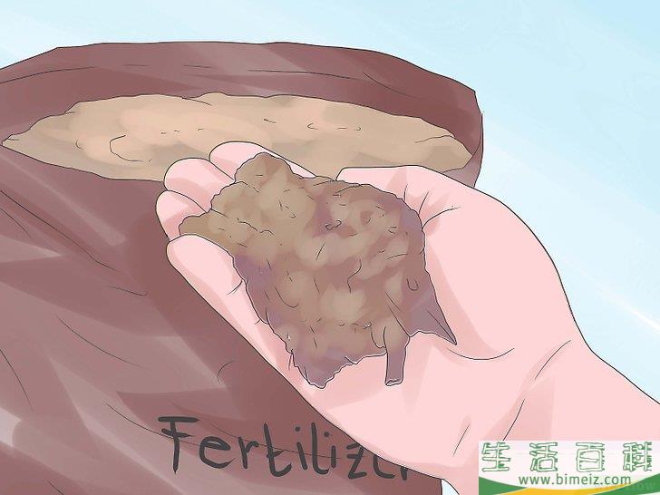 怎么种竹子
