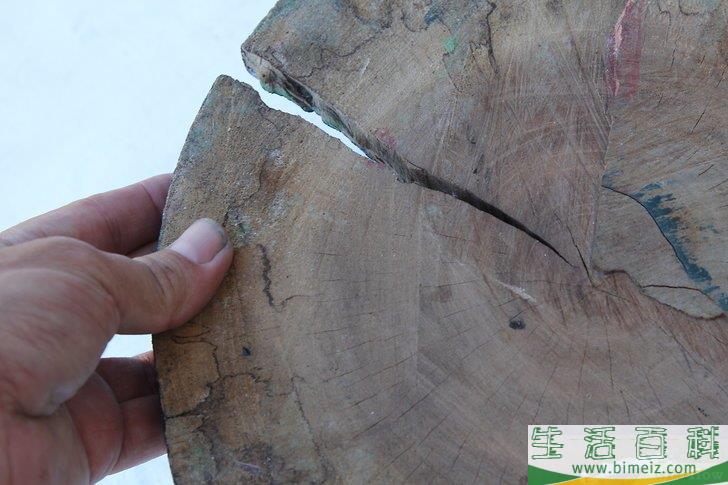 怎么在没有火柴或打火机的情况下生火