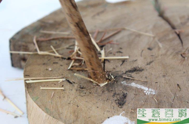 怎么在没有火柴或打火机的情况下生火