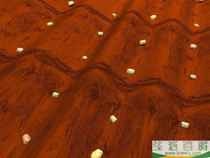 怎么种土豆