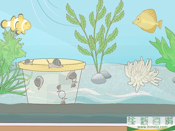 怎么使园林免受蜗牛侵害