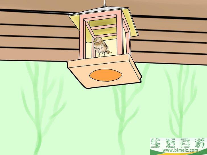 怎么防止猫进入你的花园