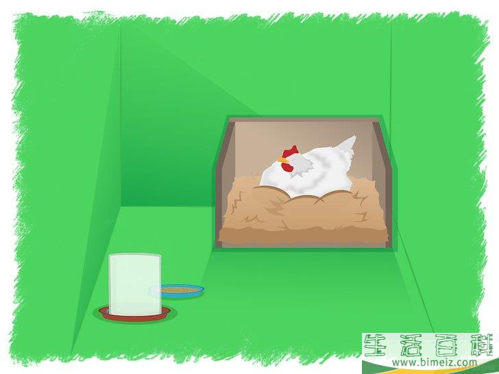 怎么孵化鸡蛋