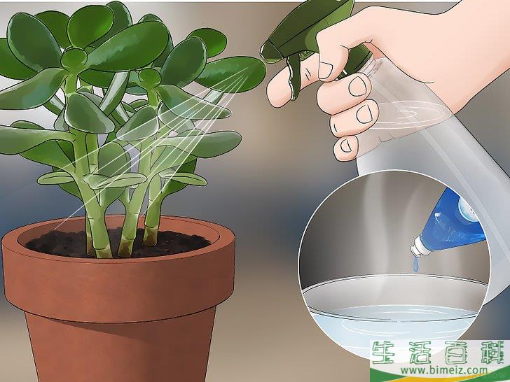 怎么消灭蠓虫