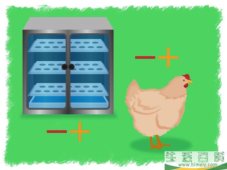 怎么孵化鸡蛋