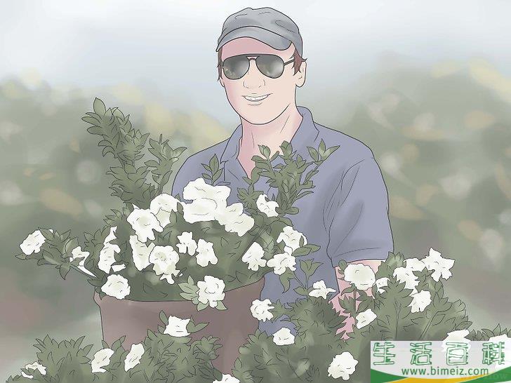 怎么栽种栀子花