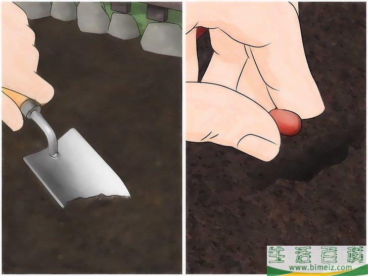怎么建一个花园