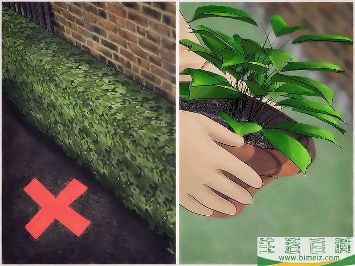 怎么去除狼蛛