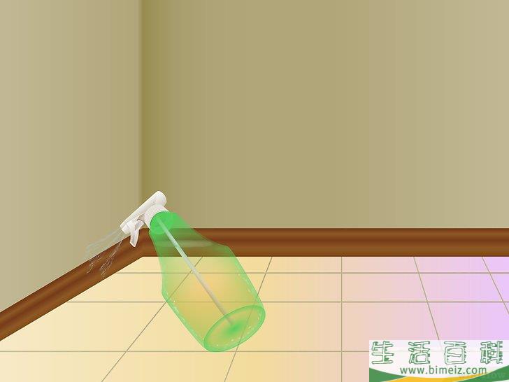 怎么自制蜘蛛驱逐剂
