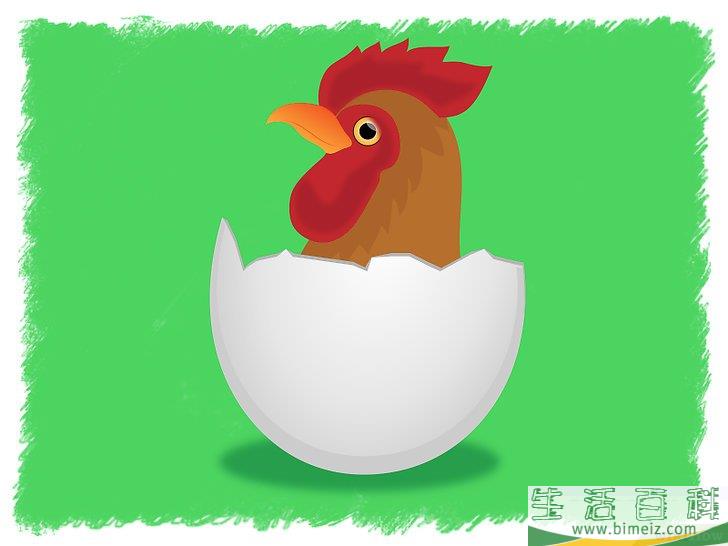 怎么孵化鸡蛋