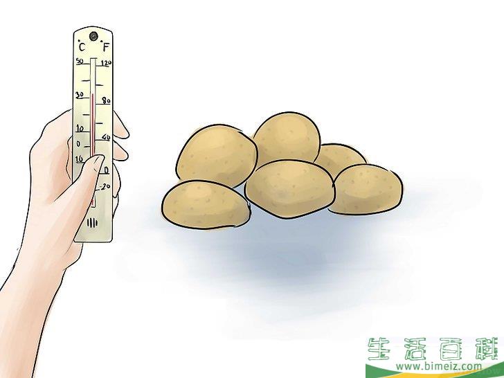 怎么种植红薯