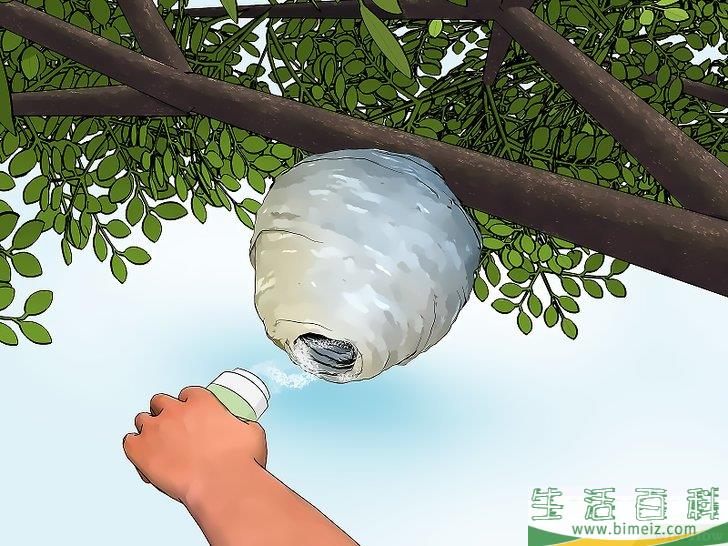 怎么防范黄蜂