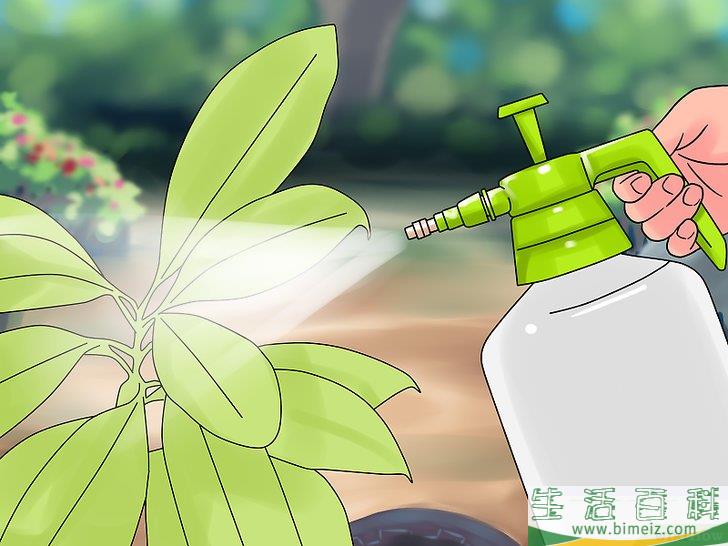 怎么制作生物农药