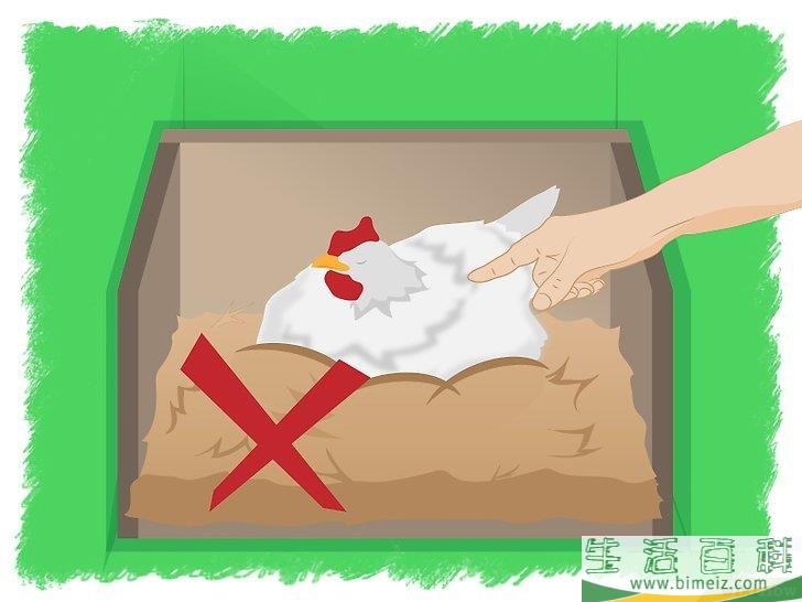怎么孵化鸡蛋
