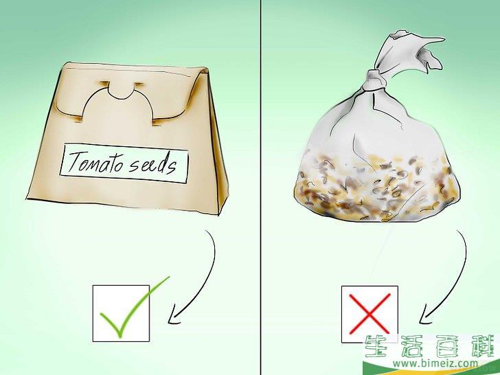 怎么用种子种植番茄