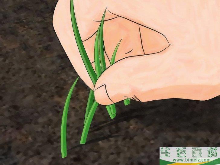 怎么建一个花园