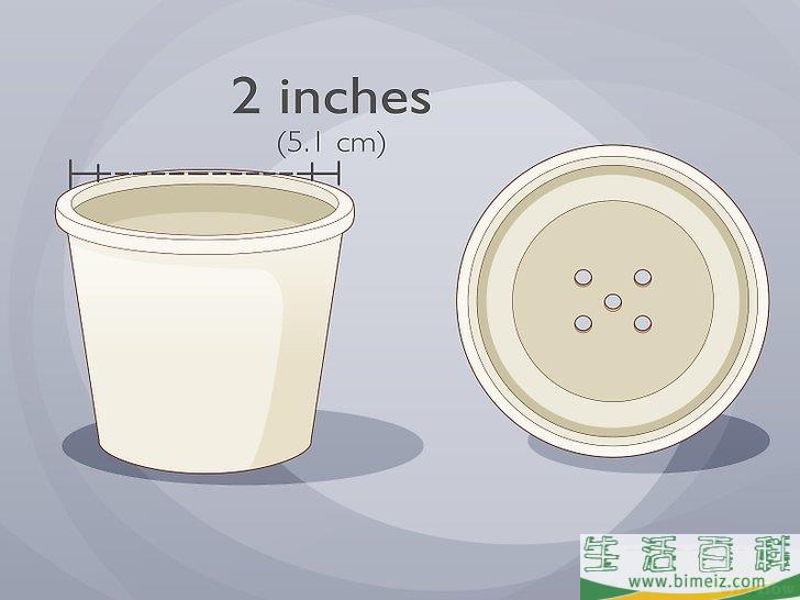 怎么照料白鹤芋