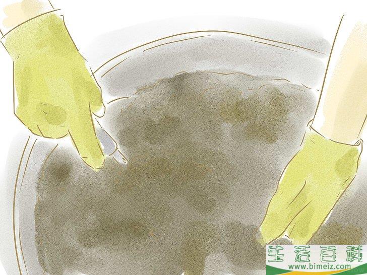 怎么用种子种植植物