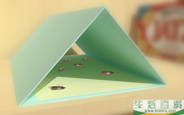 怎么治理储藏室飞蛾