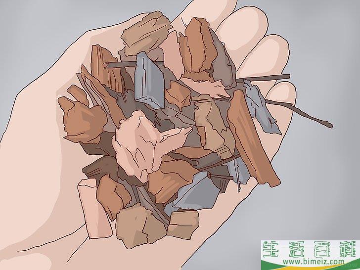怎么换盆移栽兰花
