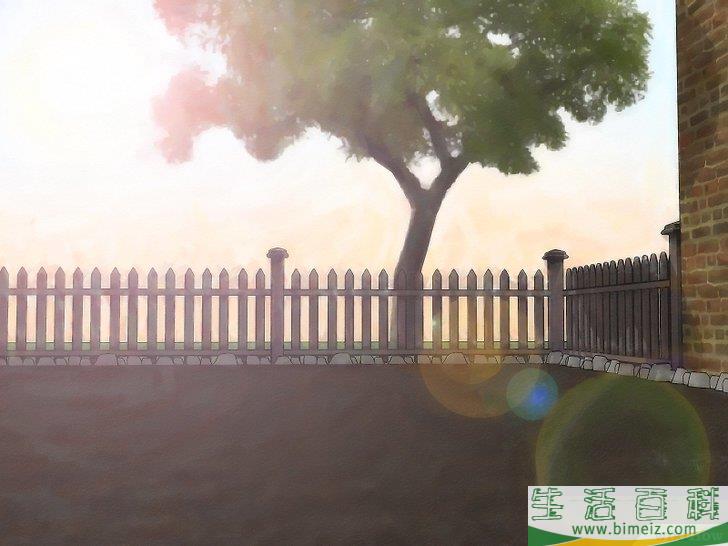 怎么种植萝卜