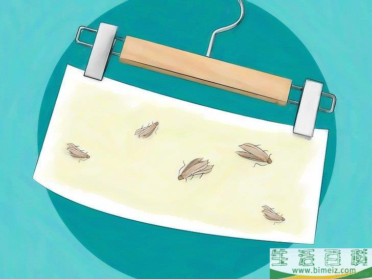 怎么清除蛾子