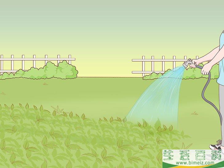 怎么使园林免受蜗牛侵害