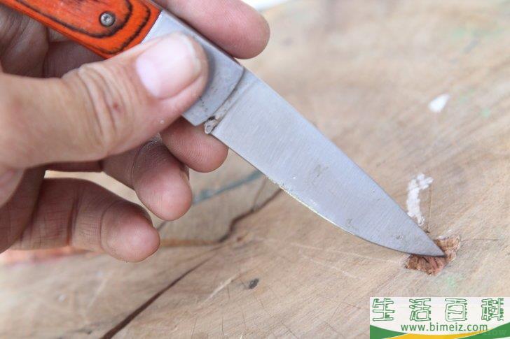 怎么在没有火柴或打火机的情况下生火