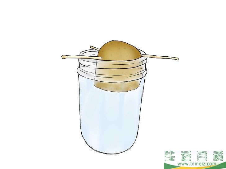 怎么种植红薯