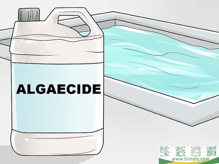 怎么清除和预防游泳池中的绿色藻类