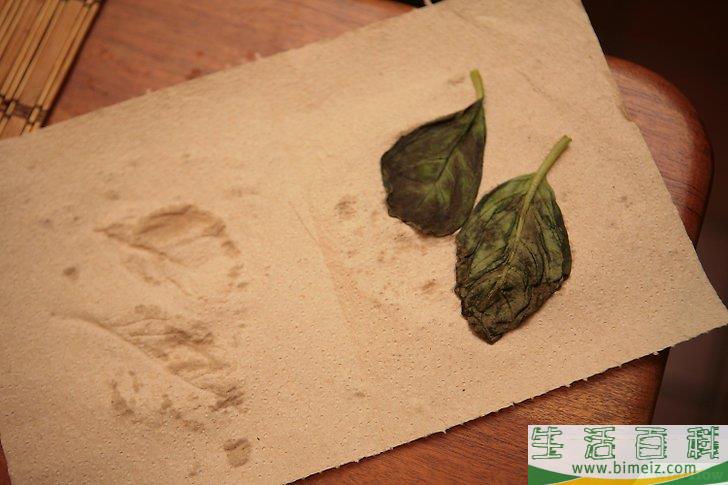 怎么风干罗勒叶
