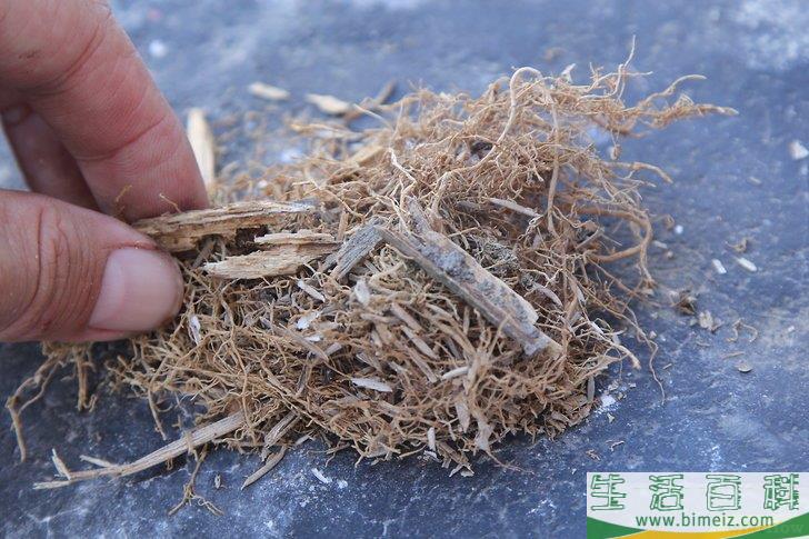 怎么在没有火柴或打火机的情况下生火