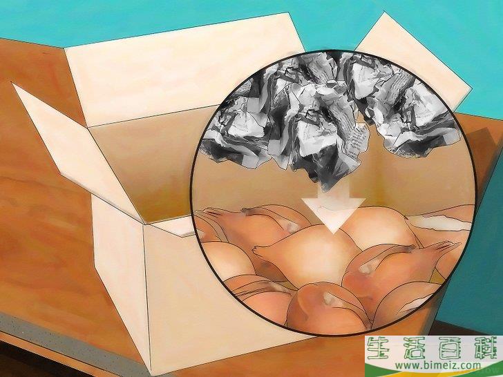 怎么储藏郁金香球茎