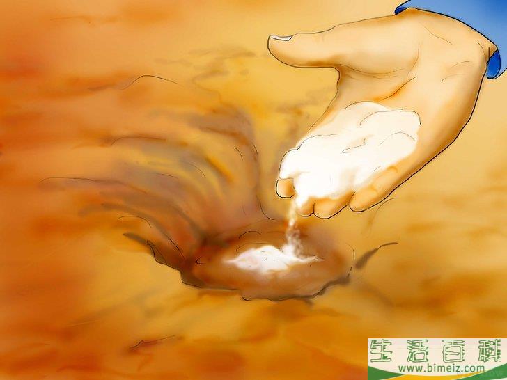 怎么用种子种植番茄