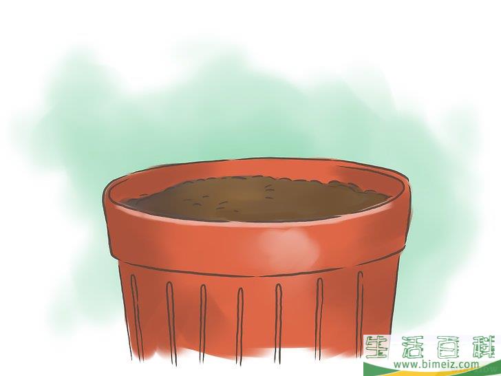 怎么种百香果