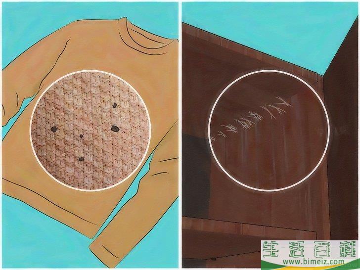 怎么清除蛾子