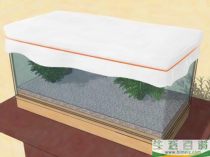 怎么用跳蚤炸弹消灭屋子里的跳蚤